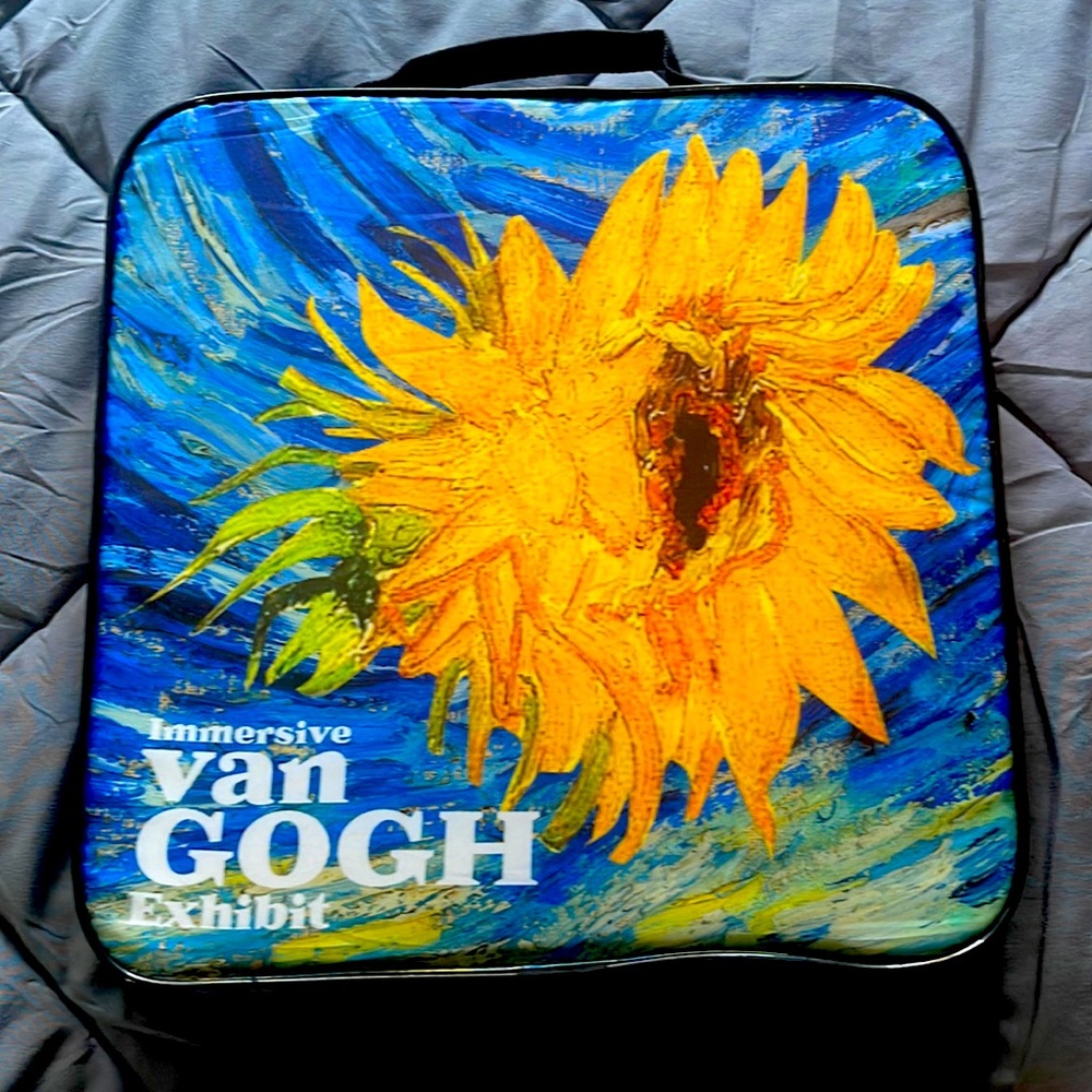 Van Gogh cushion